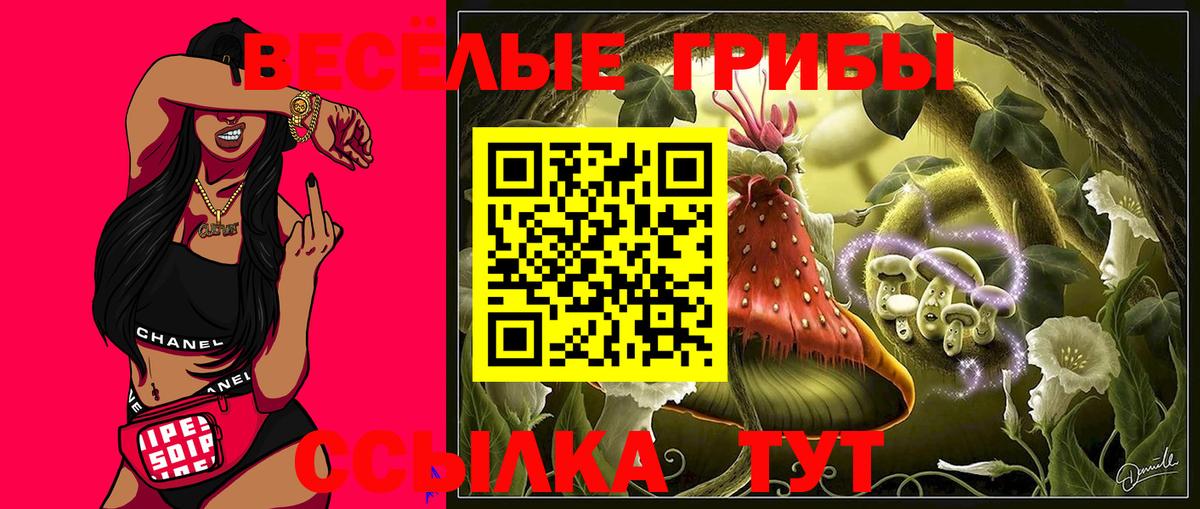 Галлюциногенные грибы Psilocybine cubensis Орёл